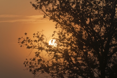 photo_21808_20101018