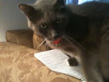 Jack - My Creative Assistant