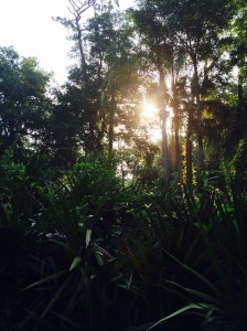 Sunlight on a Saturday