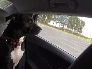 There are brighter days on the horizon. 