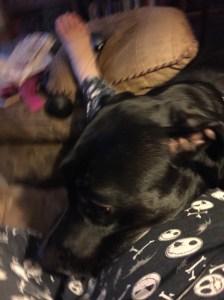 Much of Thursday was spent like this in p.j.'s and with a puppy dog on my lap. 